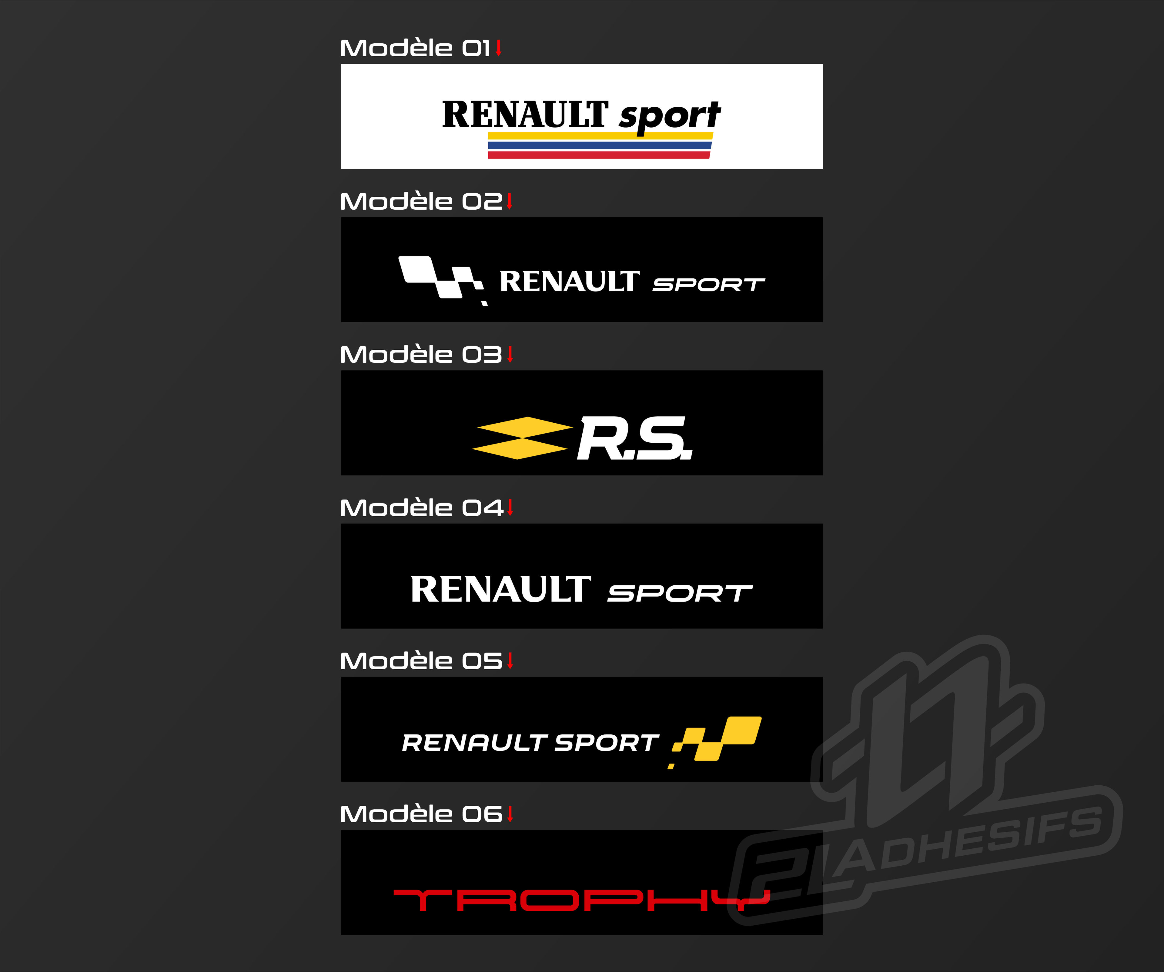 Pare Soleil Renault 1